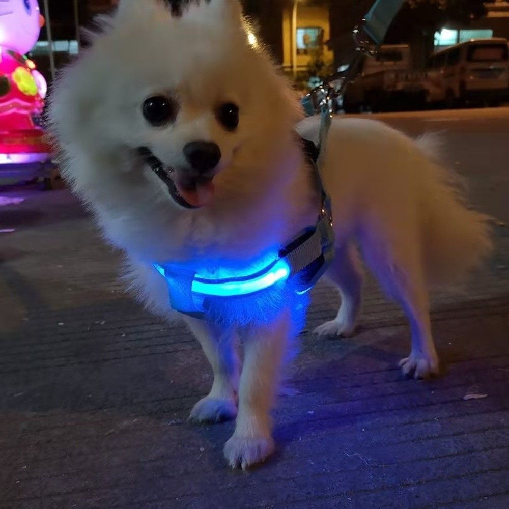 Tech Dog Accessories - Ademend LED-hondentuig met verlichting, oplaadbaar, knipperend,