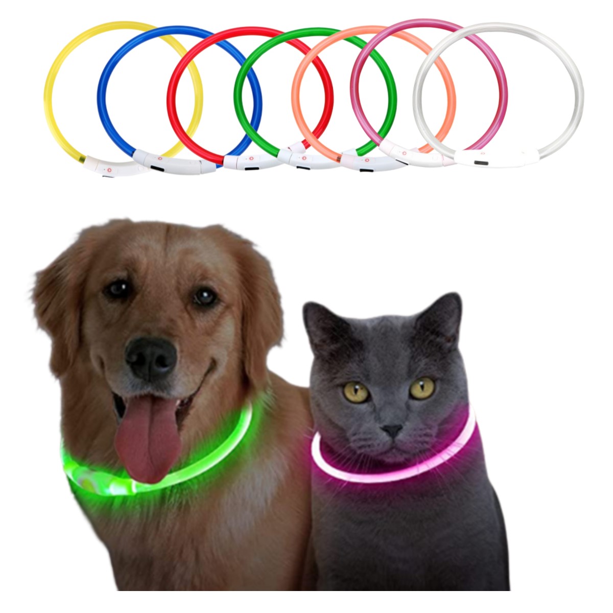 Tech Dog Accessories - Led Licht Halsband Afneembare Gloeiende USB