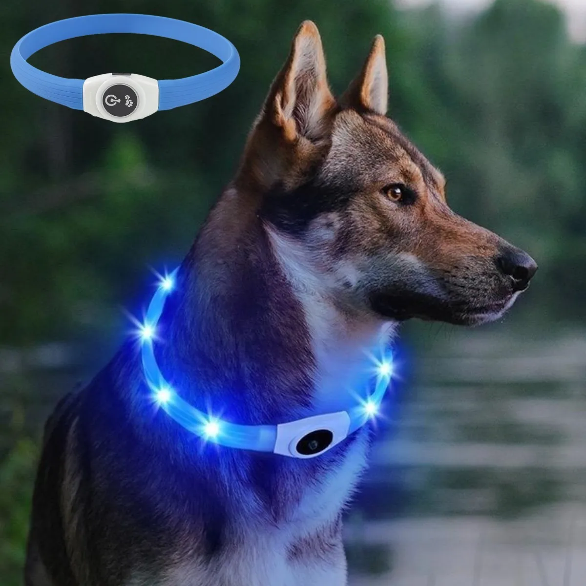 Tech Dog Accessories - Nieuwe Led Lichtgevende Halsband PVC Waterdicht,