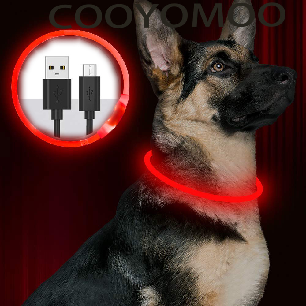 Siliconen LED-halsband Oplaadb - Tech Dog Accessories recensie en prijs