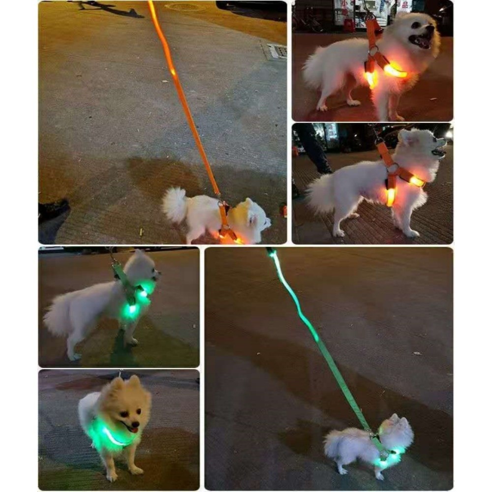 Ademend LED-hondentuig met ver - Tech Dog Accessories recensie en prijs