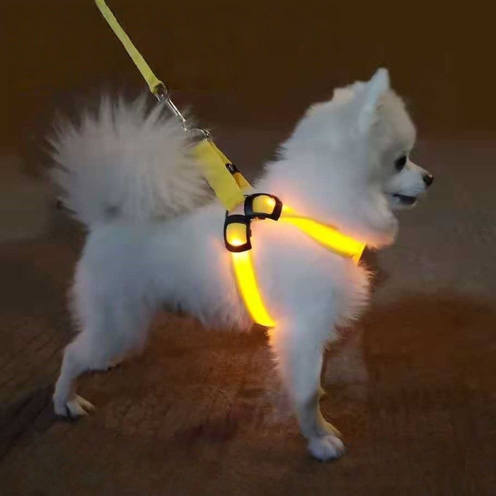 Ademend LED-hondentuig met ver - Tech Dog Accessories recensie en prijs