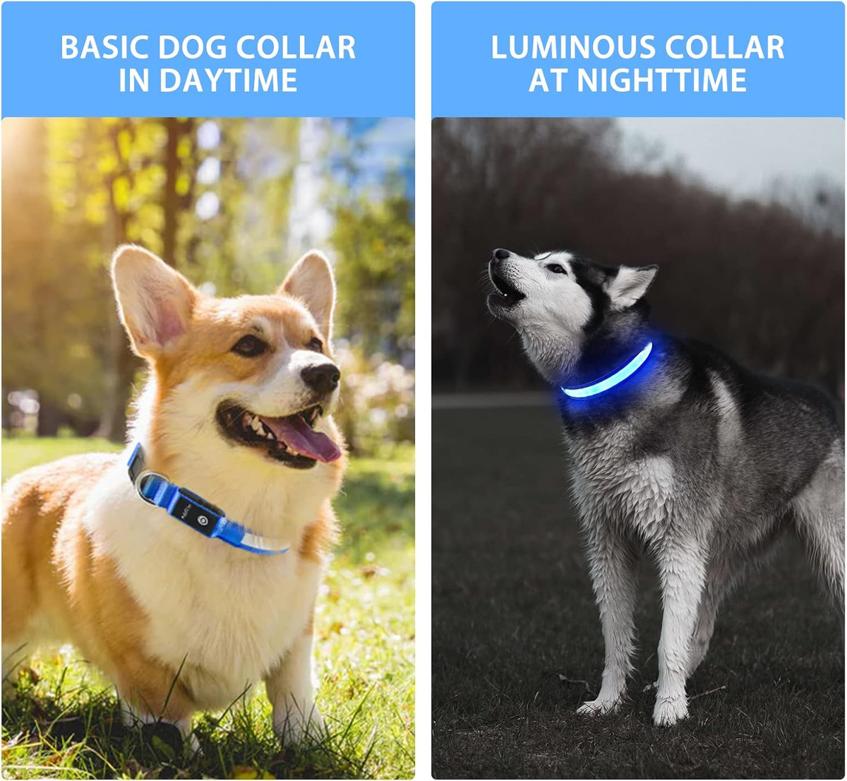 USB LED-halsbandverlichting vo - Tech Dog Accessories recensie en prijs