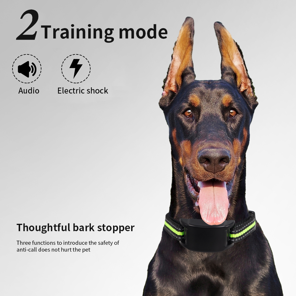 Anti-blaf hondenhalsband met e - Tech Dog Accessories recensie en prijs