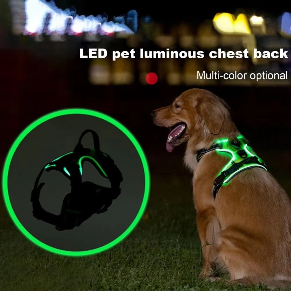 Duurzame oplichtende LED honde - Tech Dog Accessories recensie en prijs