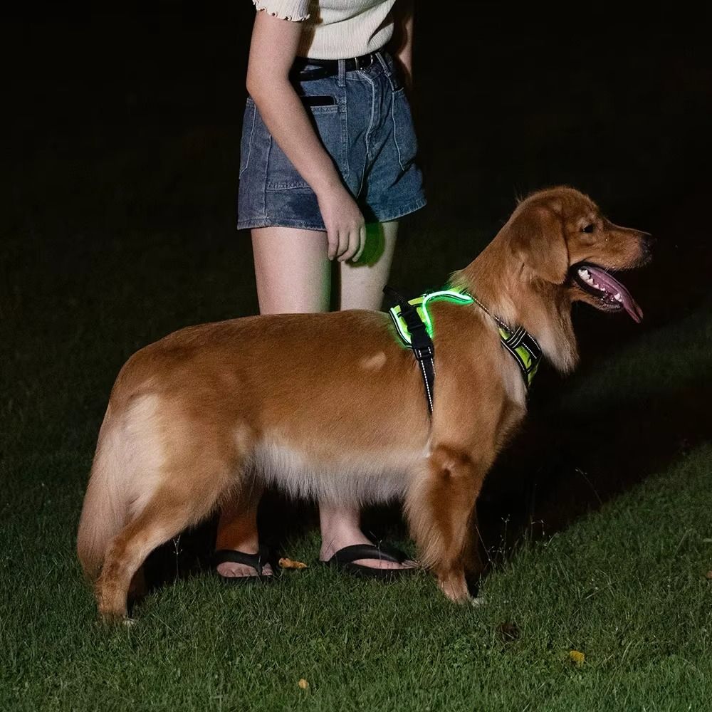 Duurzame oplichtende LED honde - Tech Dog Accessories recensie en prijs