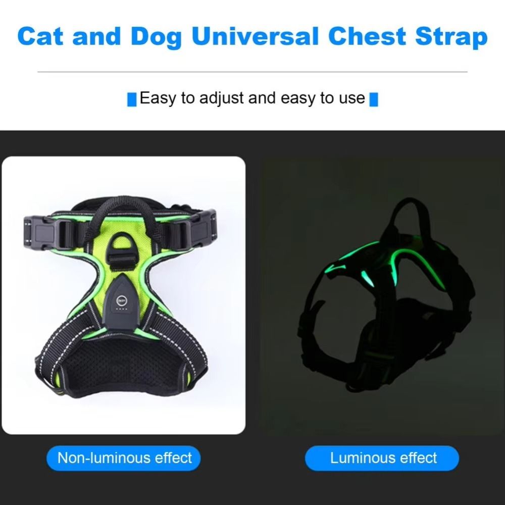 Duurzame oplichtende LED honde - Tech Dog Accessories recensie en prijs