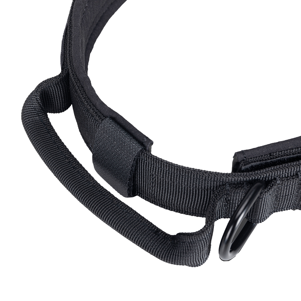 Uitstekende Elite Spanker Hond - Tech Dog Accessories recensie en prijs