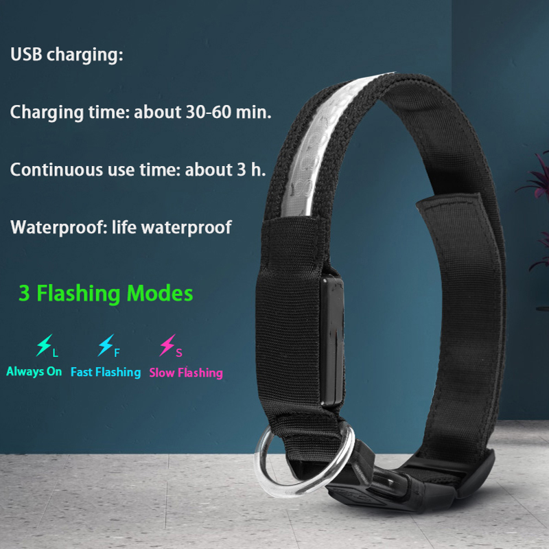 Gegraveerde ID LED-halsband Li - Tech Dog Accessories recensie en prijs