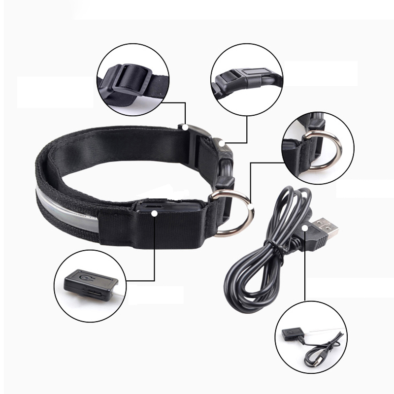 Gegraveerde ID LED-halsband Li - Tech Dog Accessories recensie en prijs